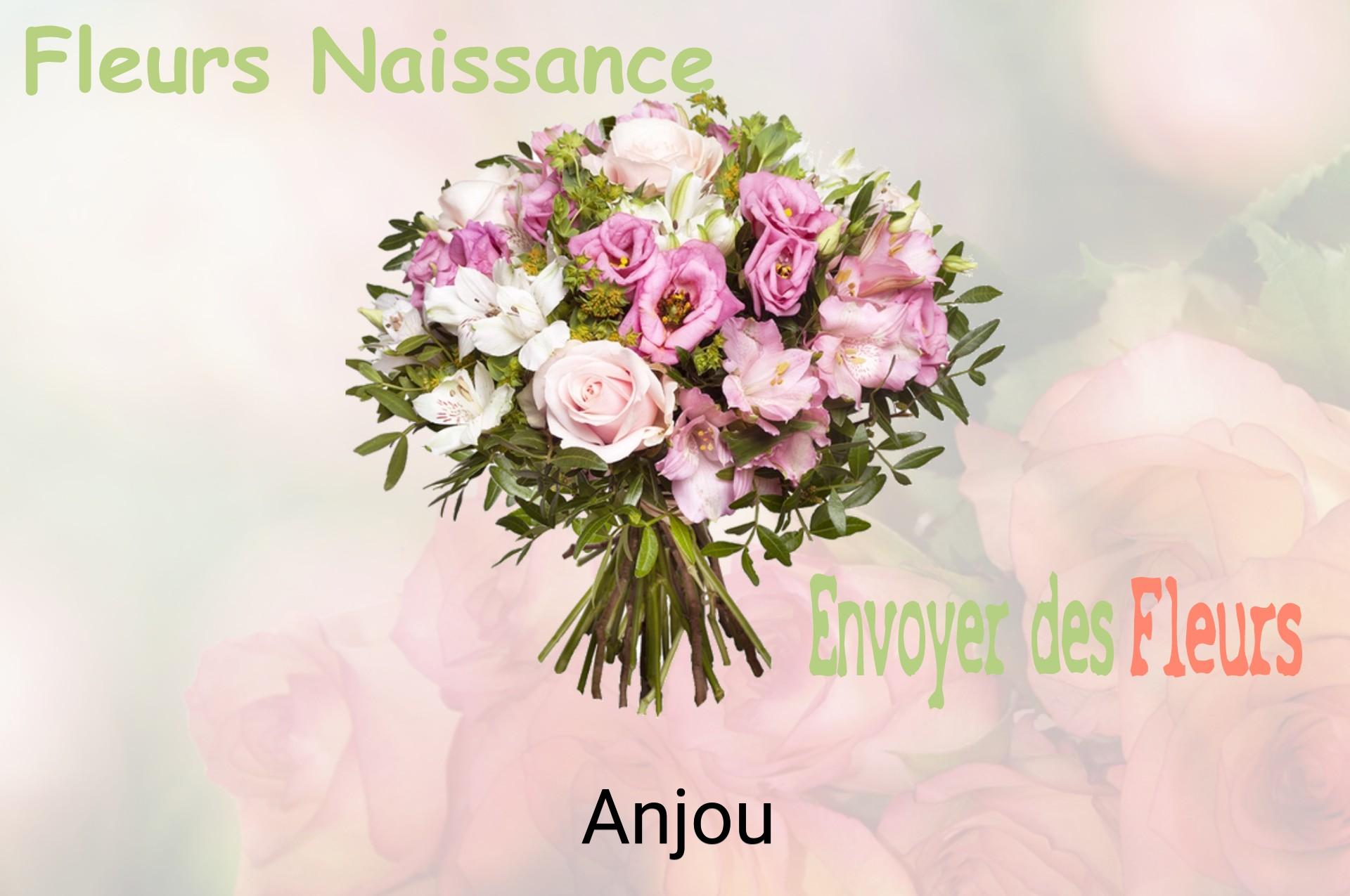 Bouquet de fleurs de naissance livré à Anjou